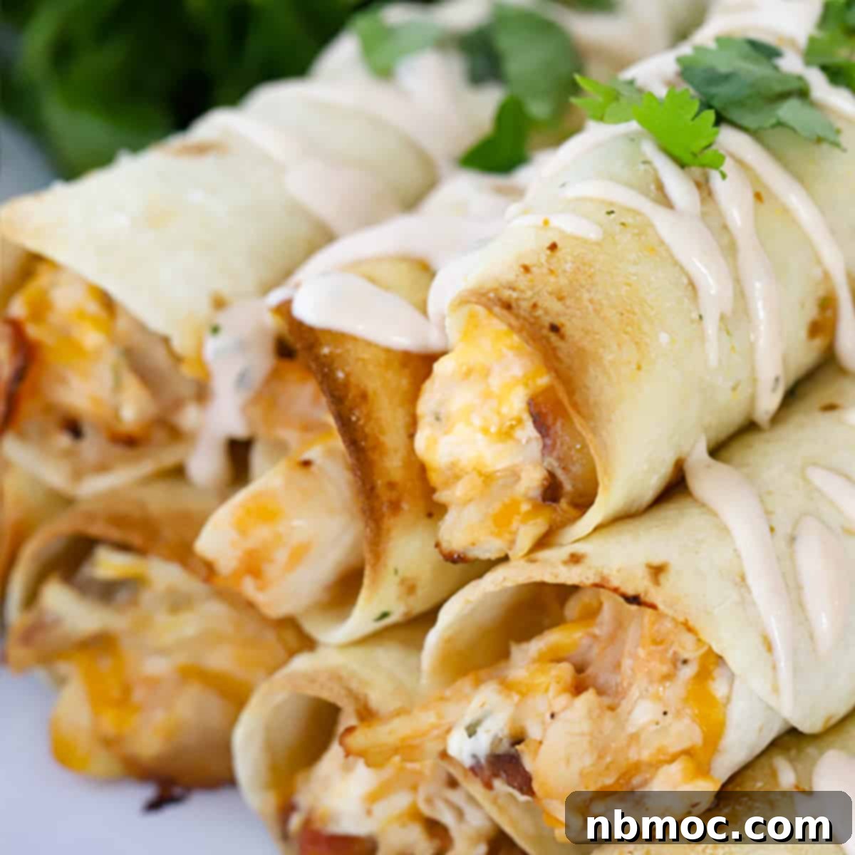 Golden Crisp BBQ Chicken Taquitos 1 featured 11773