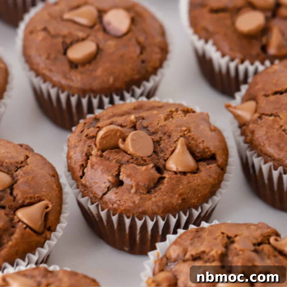 Decadent Double Chocolate Muffins 1 featured 14026