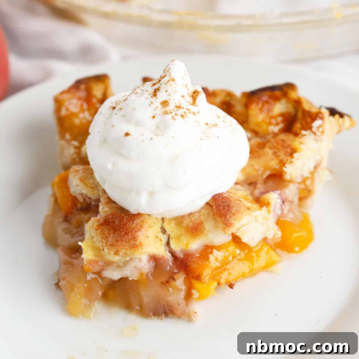 Sun-Kissed Peach Pie 1 featured 20426