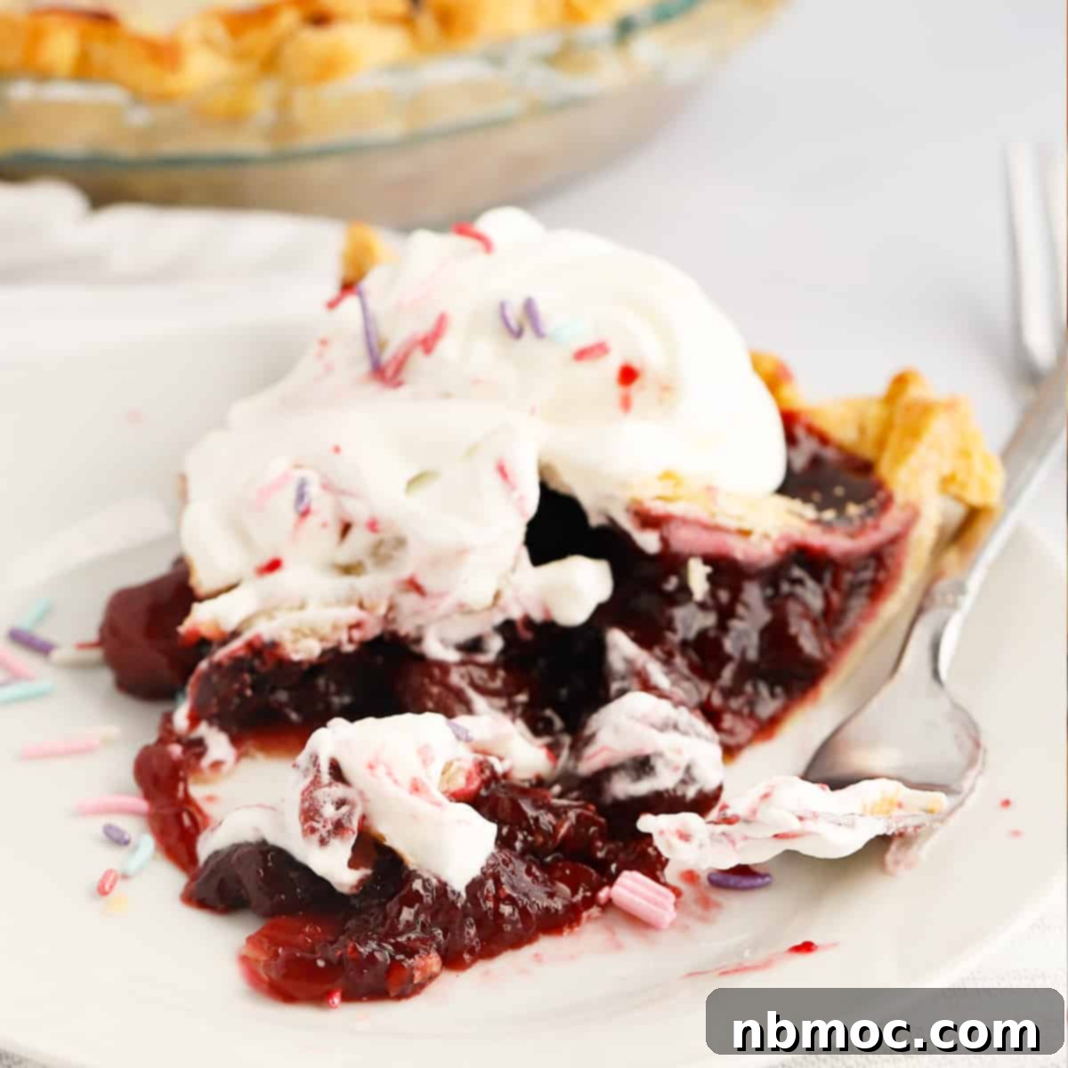 Crimson Delight 1 featured 20430