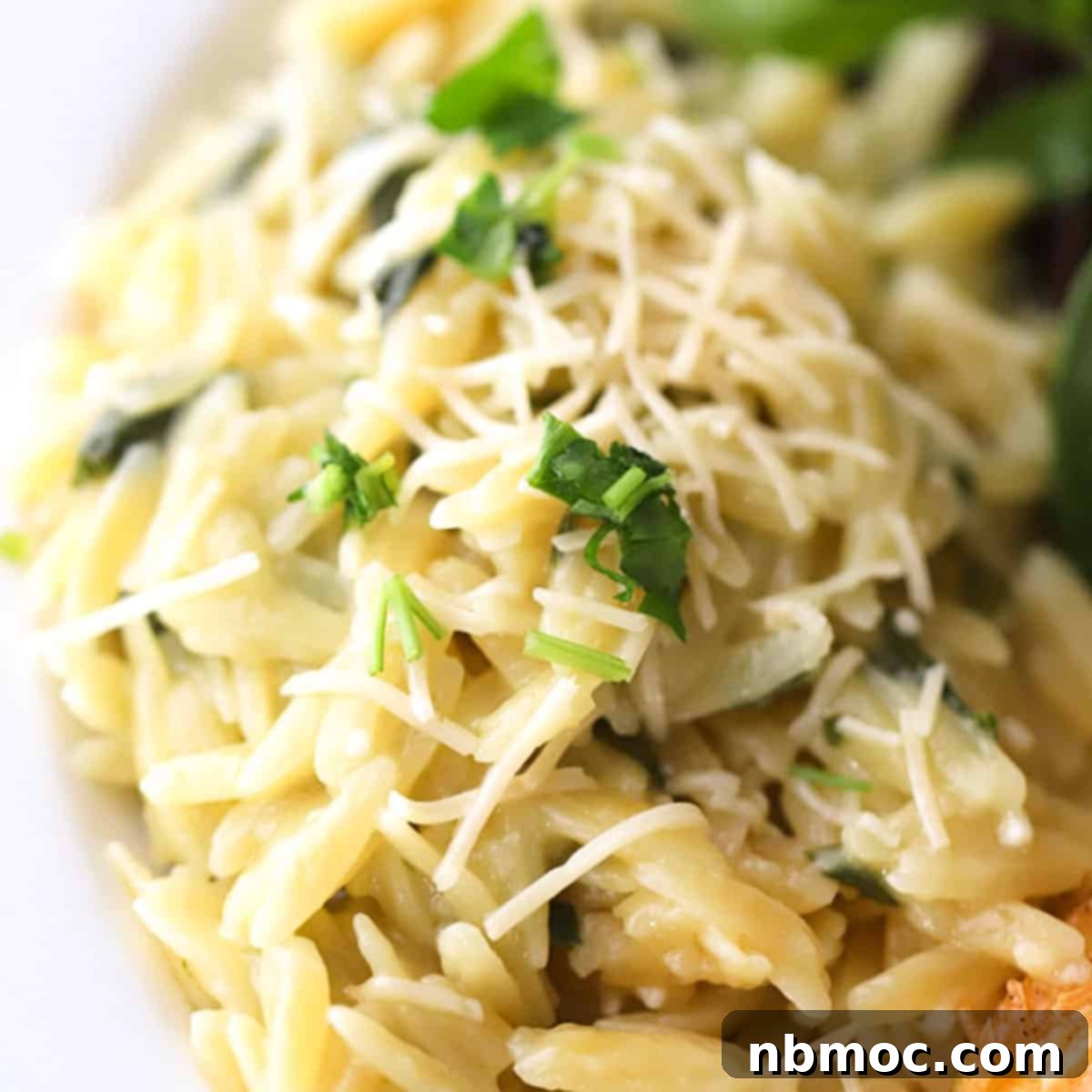 Creamy Garlic Parmesan Orzo 1 featured 2521