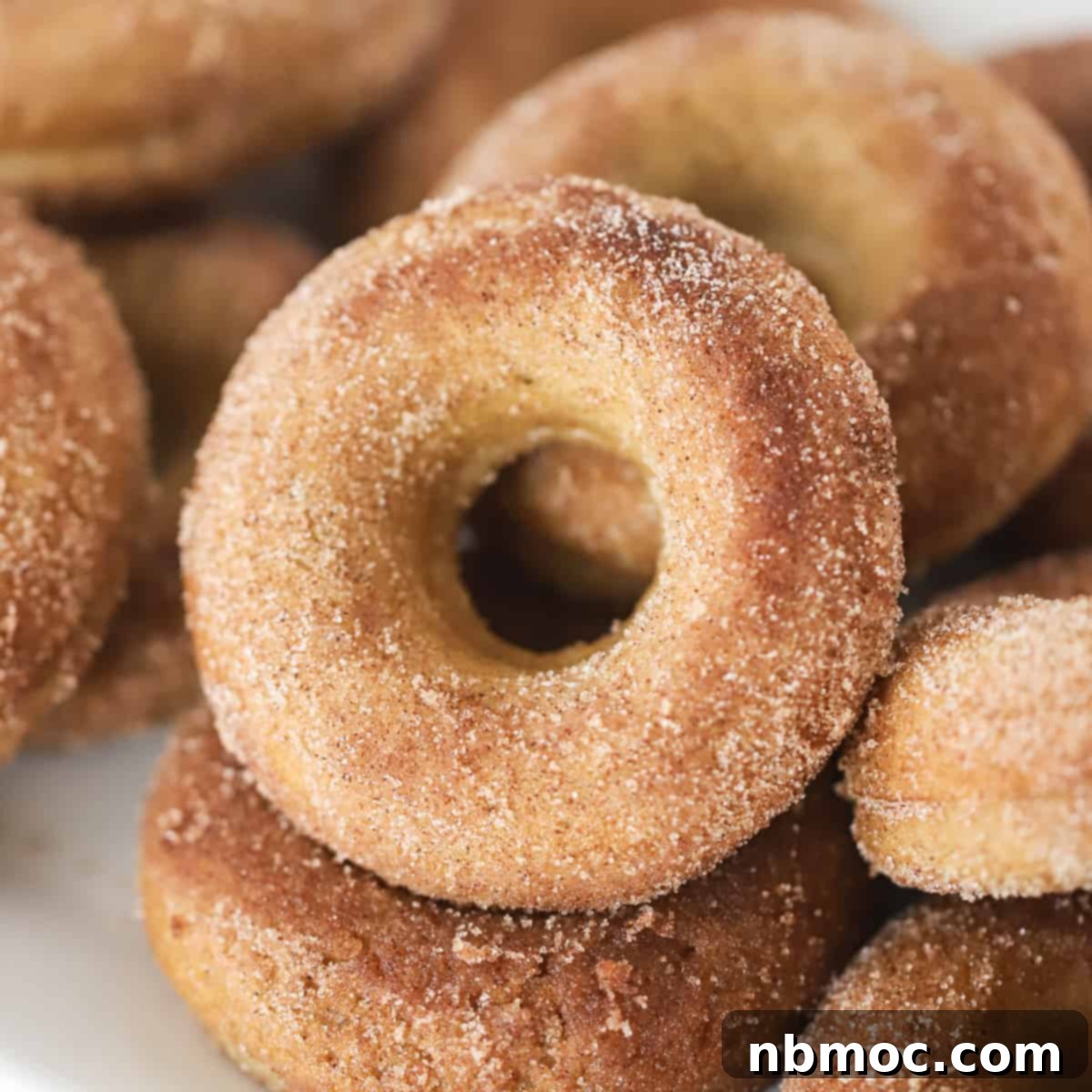 Fall Spiced Baked Apple Cider Donuts 1 featured 33418