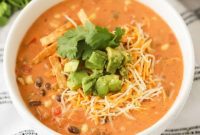 Zesty Fiesta Chicken Soup