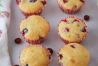 Sweet Tart Cranberry Muffins