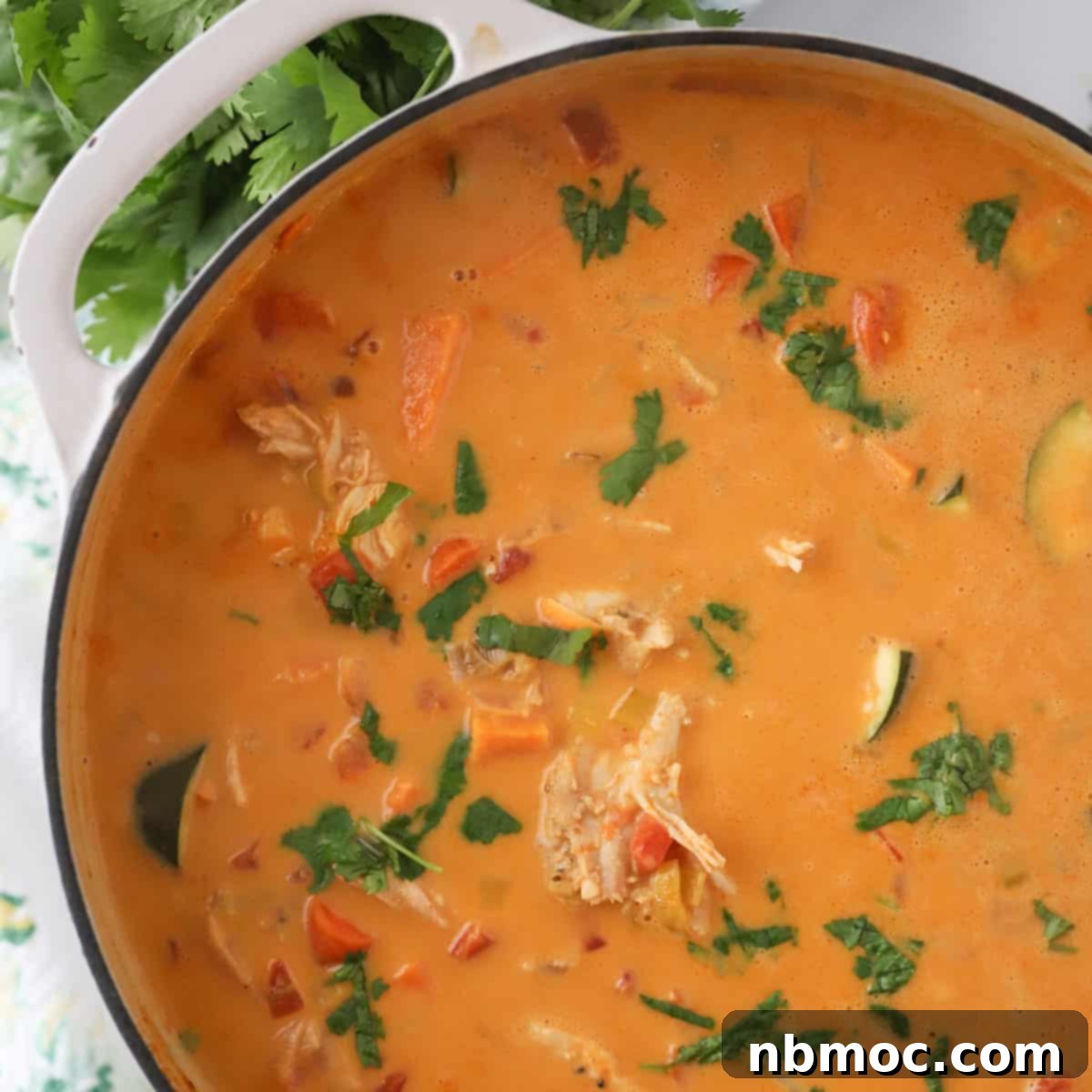 Thai Coconut Chicken Curry Soup 1 featured 60821