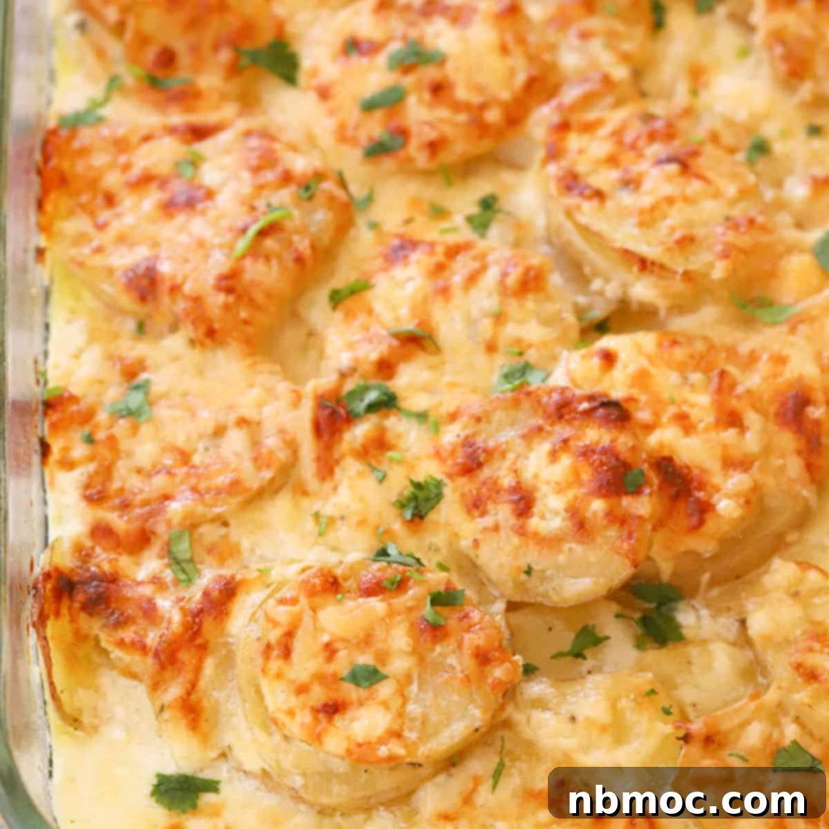 Golden Gruyere Potato Gratin 1 featured 7104