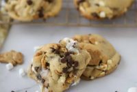 Campfire Smores Delight