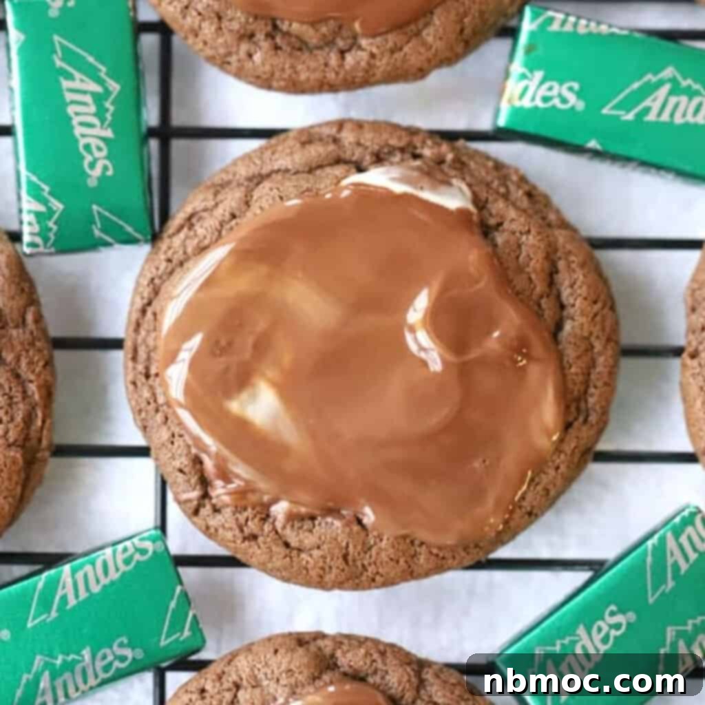 Andes Mint Cookies cooling on a rack, showcasing the tempting Andes Chocolate Mint Cookies recipe.