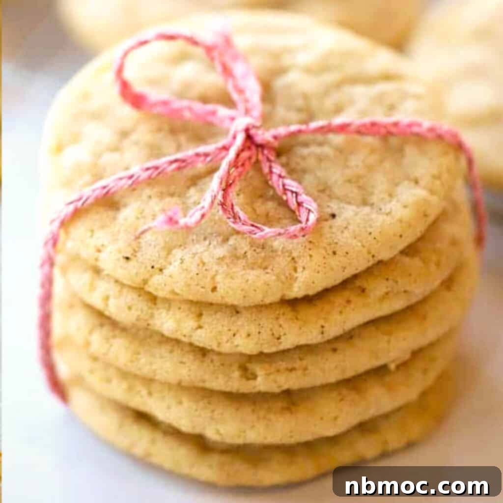Snickerdoodle cookies tied with a festive ribbon, highlighting their classic and inviting appearance.