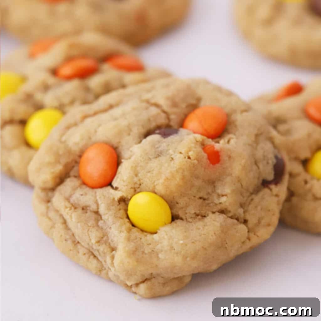 Delicious Reese's Pieces cookies, showcasing their colorful candy additions.