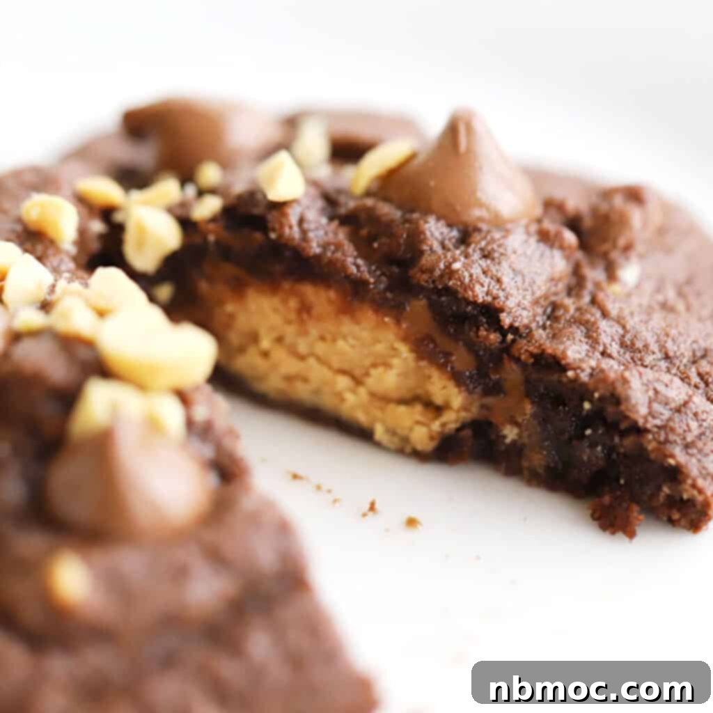A side view of a rich chocolate, chocolate chip cookie, a truly irresistible treat.