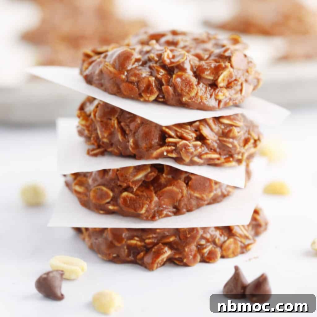 Delicious peanut butter chocolate no-bake cookies, showcasing their inviting appearance.