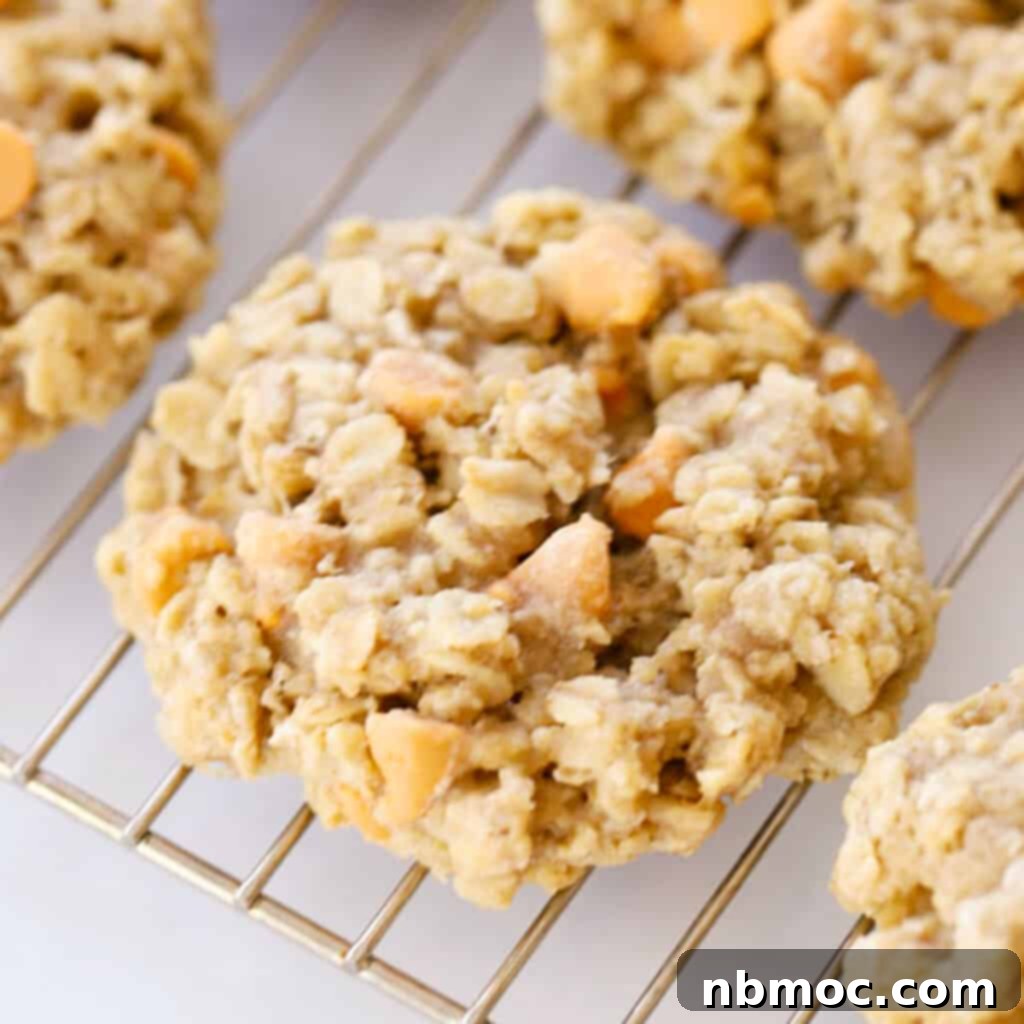 Oatmeal butterscotch cookie recipe, showcasing their rich texture and abundant chips.