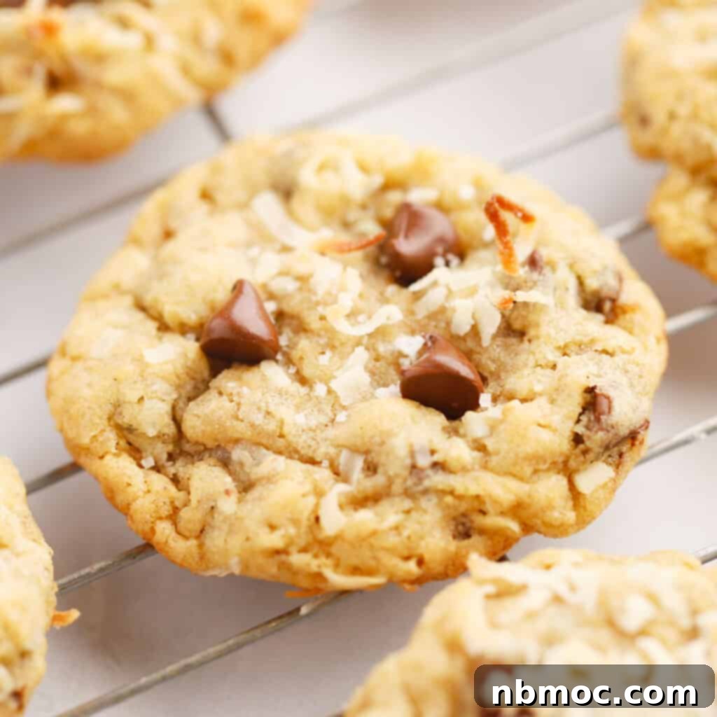 Cowboy cookies with abundant coconut and chocolate chips, showcasing a hearty and flavorful treat.