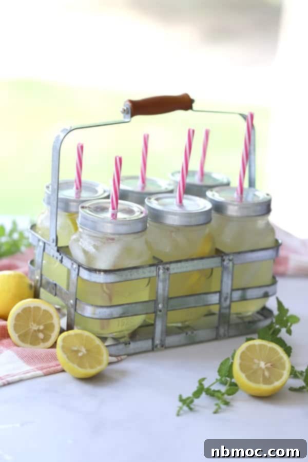 Mint lemonade in a drink carrier from homes and gardens collection at walmart with red and white swirl plastic straws