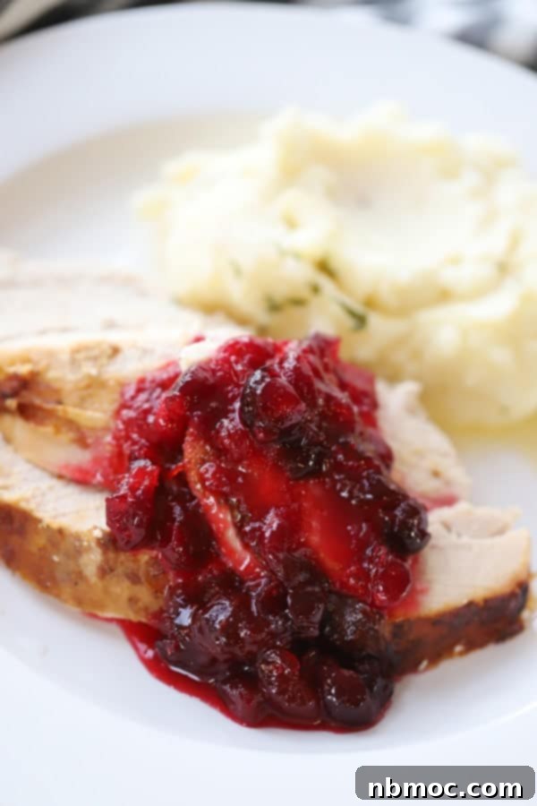 A beautifully arranged Thanksgiving plate featuring slices of roasted turkey, accompanied by vibrant cranberry sauce and a generous scoop of creamy mashed potatoes, embodying the classic holiday meal.