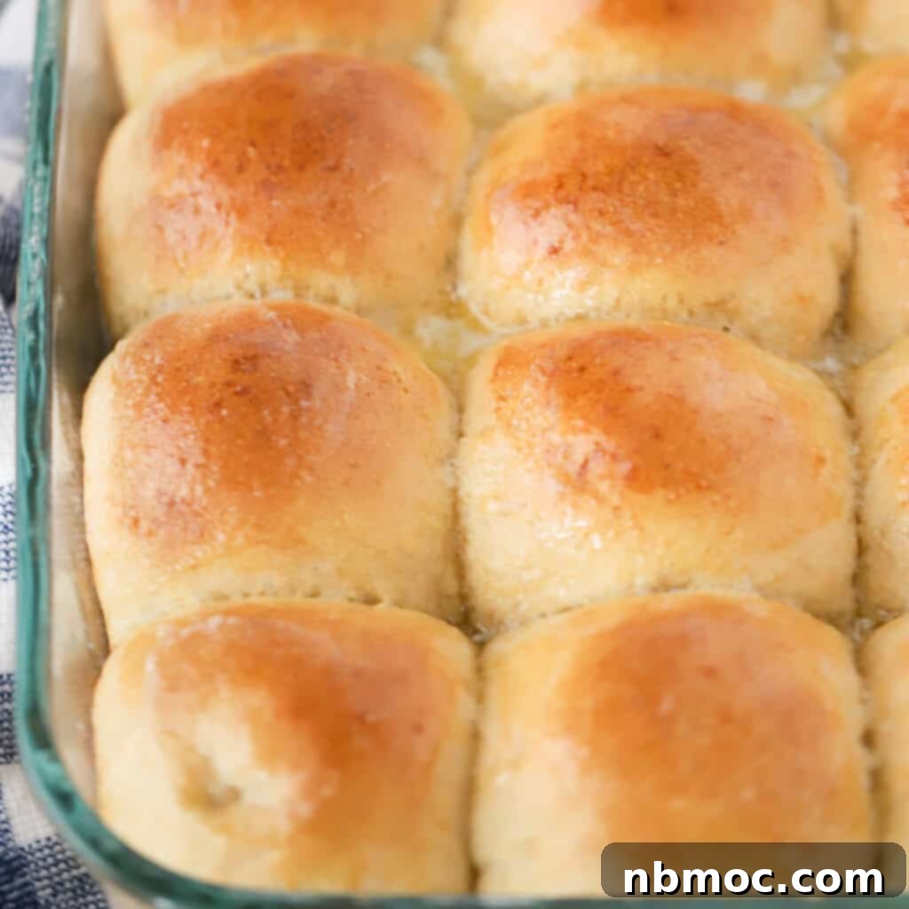 A pile of wholesome whole wheat dinner rolls, showcasing their rustic appeal and soft texture, ready for serving.