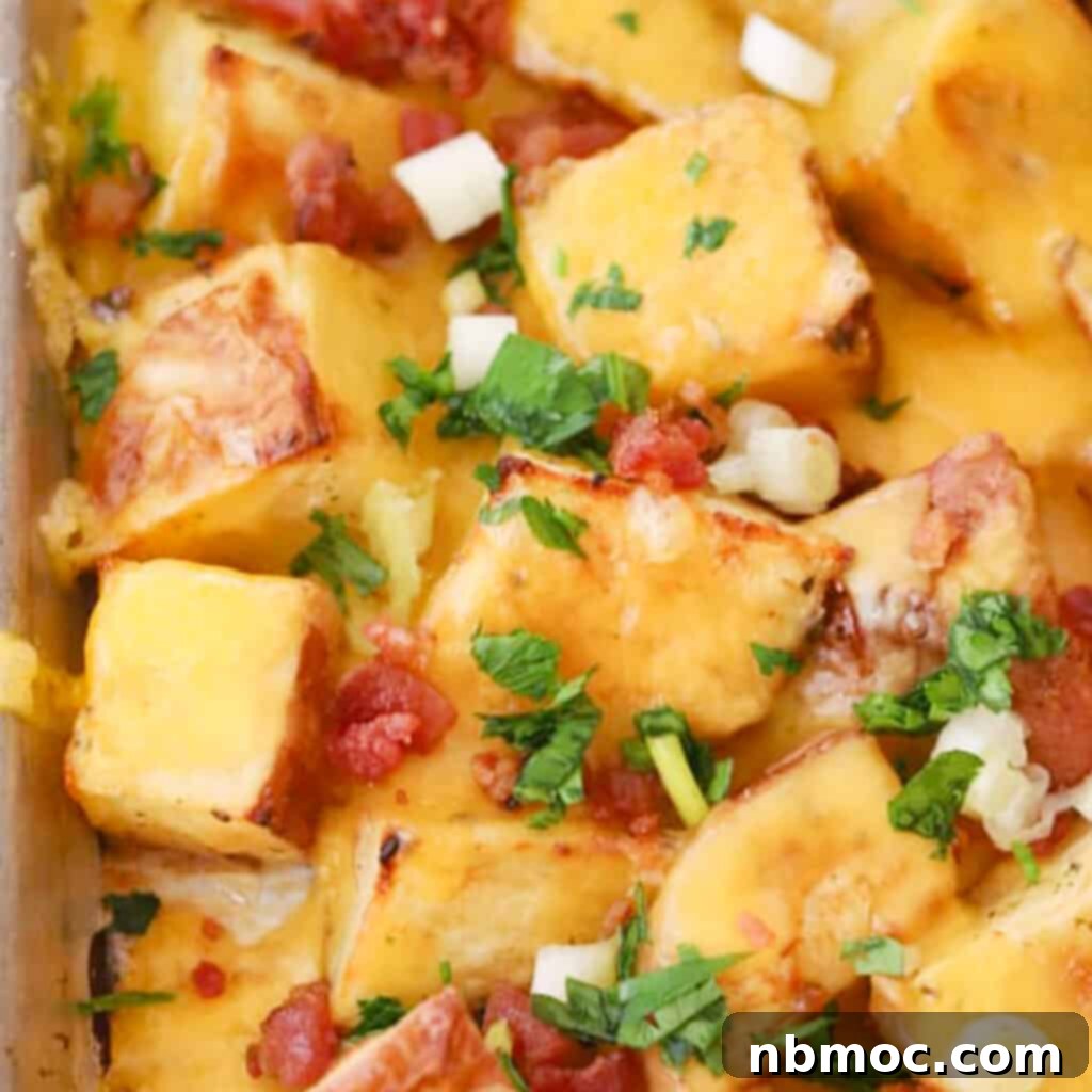 Cheesy ranch potatoes on a baking sheet, glistening with melted cheese and bacon bits, illustrating an appetizing cheesy bacon potatoes recipe.