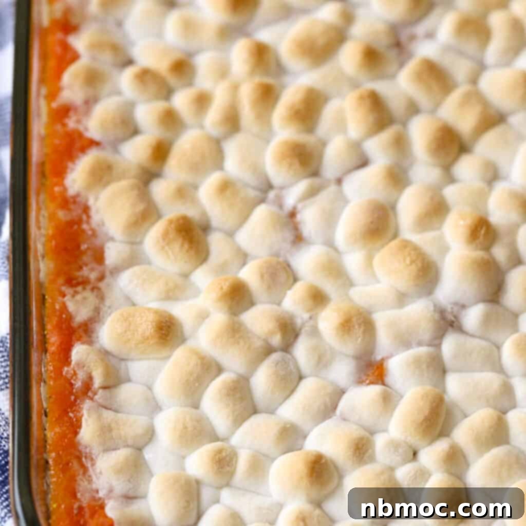 A glorious sweet potato casserole in a glass baking dish, generously covered with golden, melted marshmallows, showcasing creamy mashed sweet potatoes with a sweet topping. A true Southern Thanksgiving side dish.