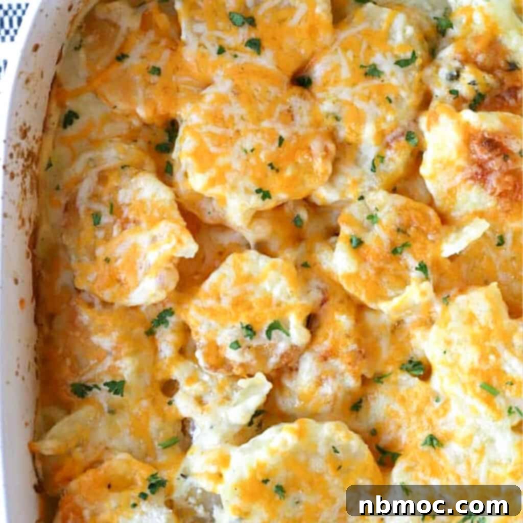 A white baking dish filled with perfectly baked homemade scalloped potatoes, golden and bubbly, highlighting the creamy, cheesy layers.
