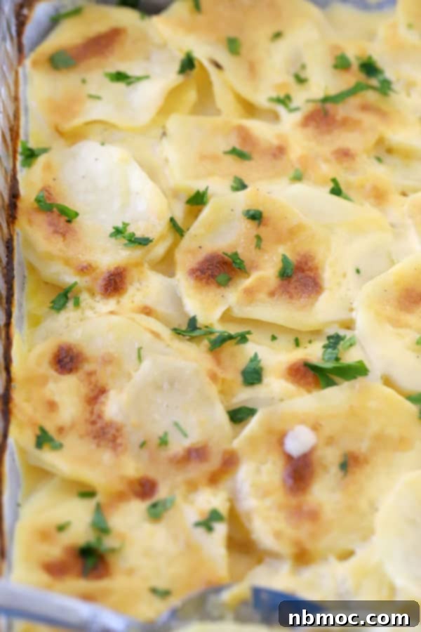 A pan of baked easy au gratin potatoes, showing the golden-brown top and creamy texture.