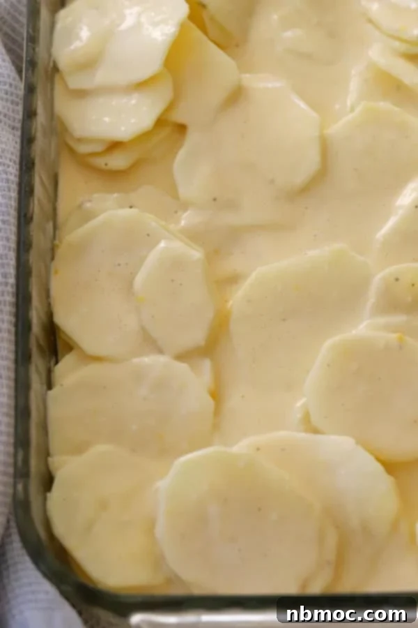 Homemade au gratin potato recipe, showcasing creamy, bubbly potatoes in a casserole dish.