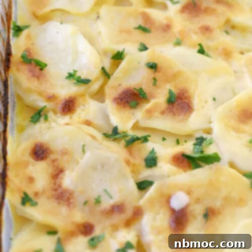 homemade au gratin potatoes