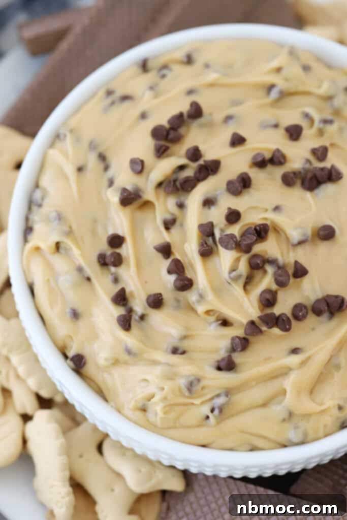peanut butter dip with chocolate chips in a bowl with chocolate chips, sweet dip recipe, dessert dip for parties. 