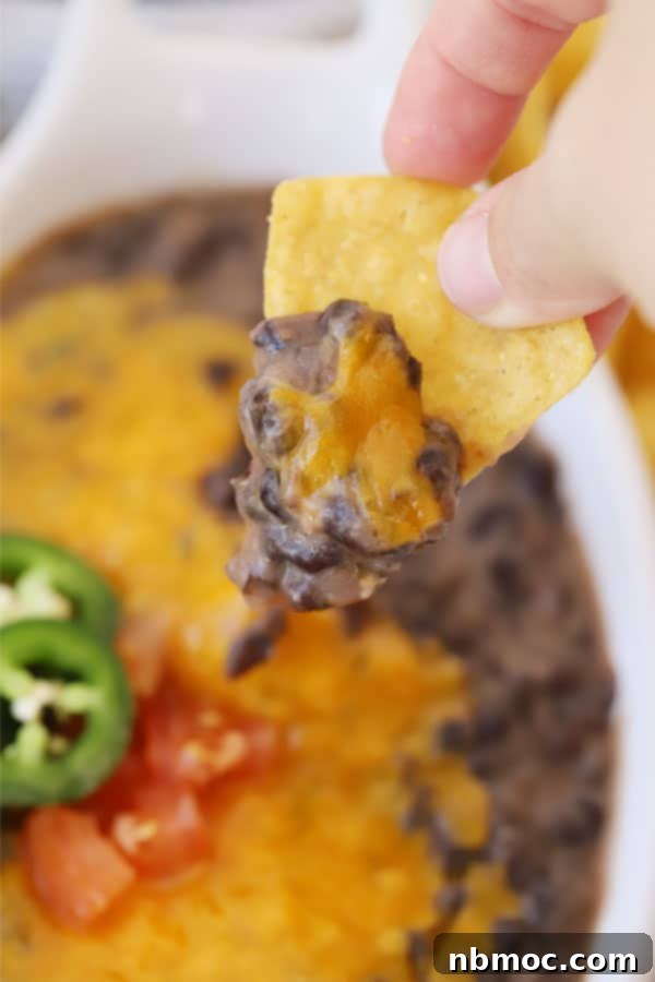 refried black beans with cheese on a tortilla chip.