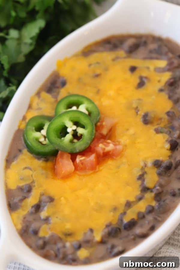 refried black beans topped with melted cheese, tomatoes, and sliced jalapenos.