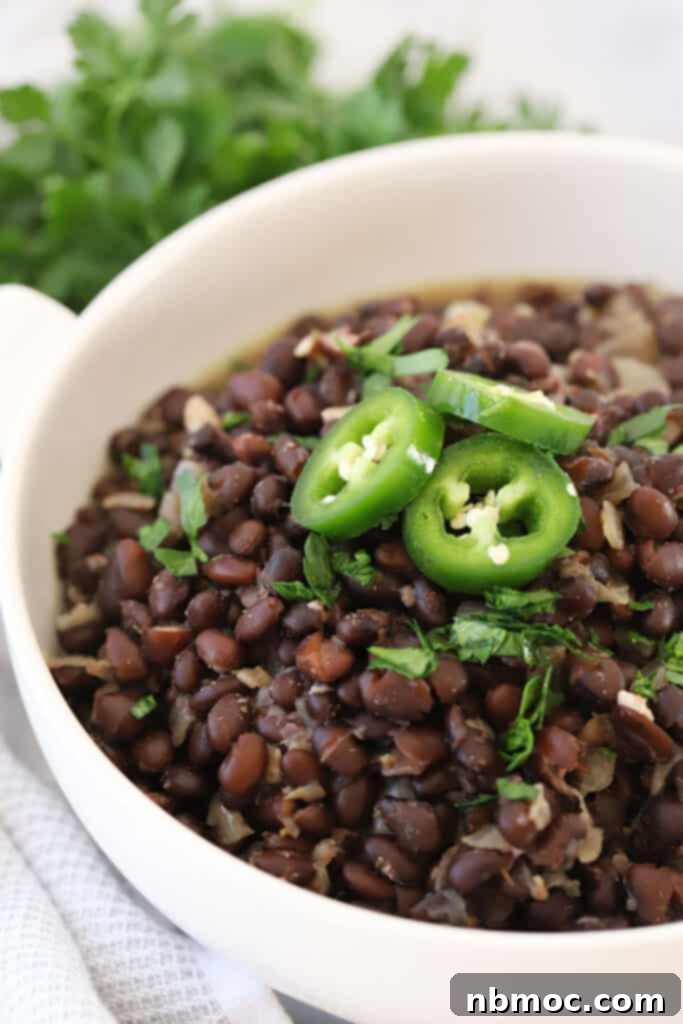 Smoky Chipotle Black Beans 5 Chipotle Black beans served in an elegant white dish, garnished with vibrant sliced jalapeños and fresh cilantro, capturing their delicious appeal.