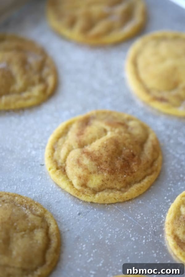 Heirloom Einkorn Snickerdoodles 2 Einkorn Snickerdoodles made with all-purpose Einkorn flour, a healthy ancient grain option.