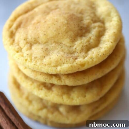 Heirloom Einkorn Snickerdoodles 4 Soft and chewy einkorn Snickerdoodles ready to be enjoyed.