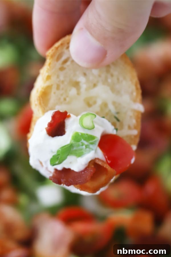 BLT dip with cream cheese on a cracker, cold dips appetizer recipe, easy appetizer. Football food, cold BLT dip; BLT cream cheese dip.