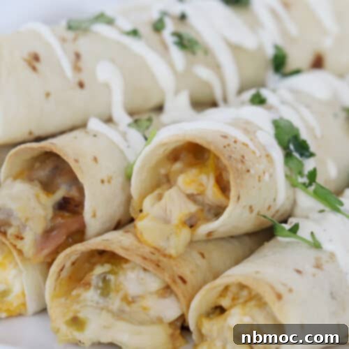 homemade chicken taquitos