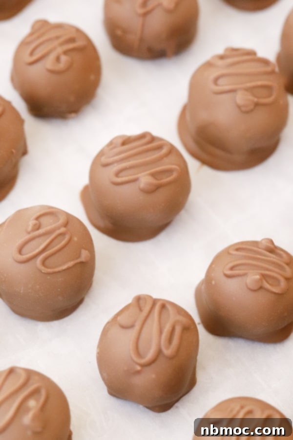 Cocoa Coated Coconut Bliss 2 Chocolate covered coconut balls candy on a baking sheet lined with parchment paper.