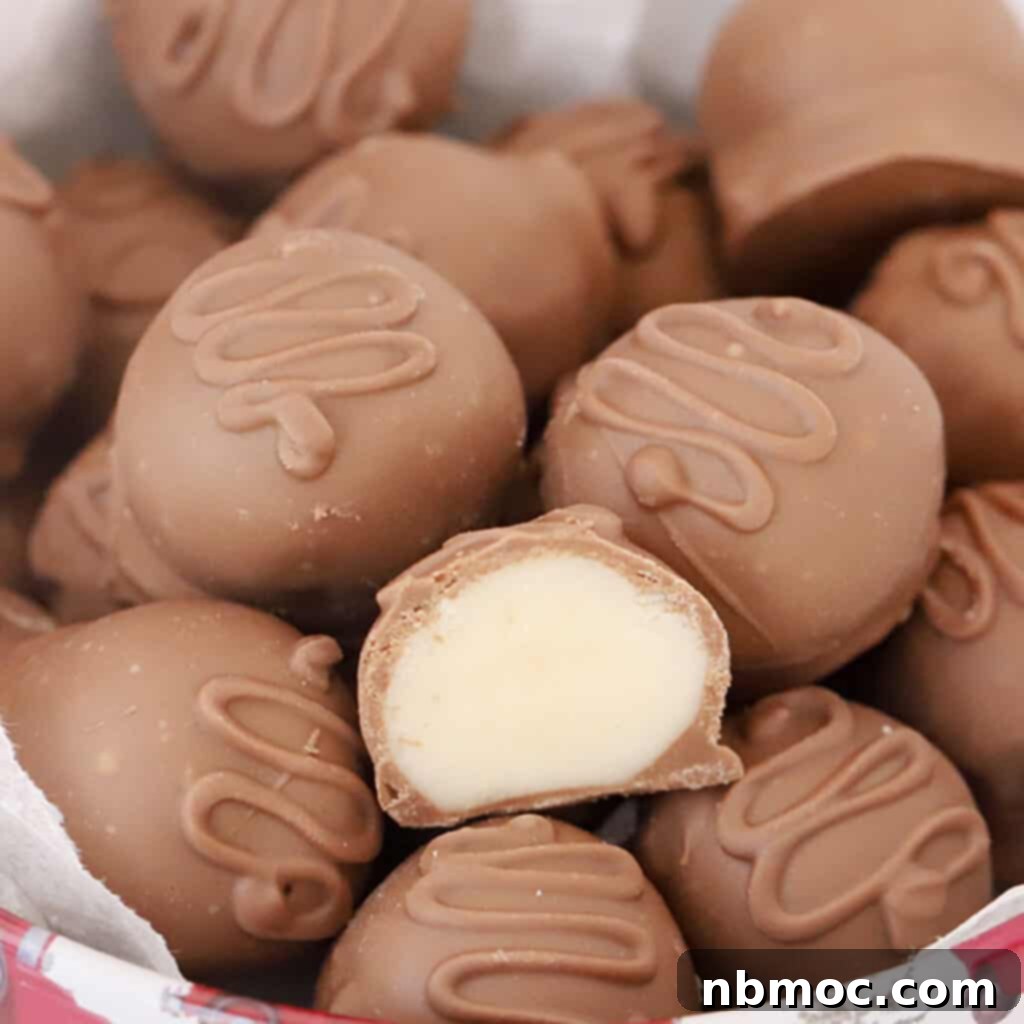 Cocoa Coated Coconut Bliss 3 Coconut balls dipped in chocolate.