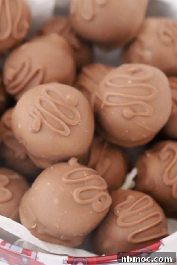 Cocoa Coated Coconut Bliss 5 A bowl full of coconut balls dipped in chocolate.