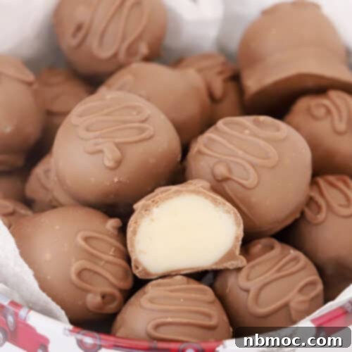 Cocoa Coated Coconut Bliss 6 chocolate covered coconut balls-candy recipe