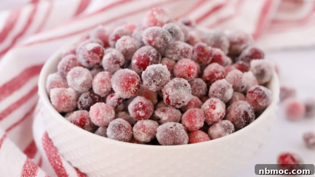A bowl of vibrant sugar cranberries, demonstrating how to make and sugar cranberries for a perfect holiday treat.