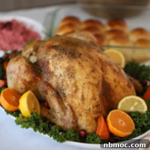 how to make the best thanksgiving turkey recipe. Easy thanksgiving turkey