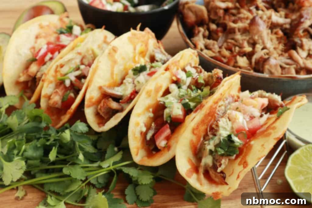 An array of fresh pork carnitas toppings laid out for tacos, burrito bowls or quesadillas, including fresh cilantro, diced onions, lime wedges, and various salsas.