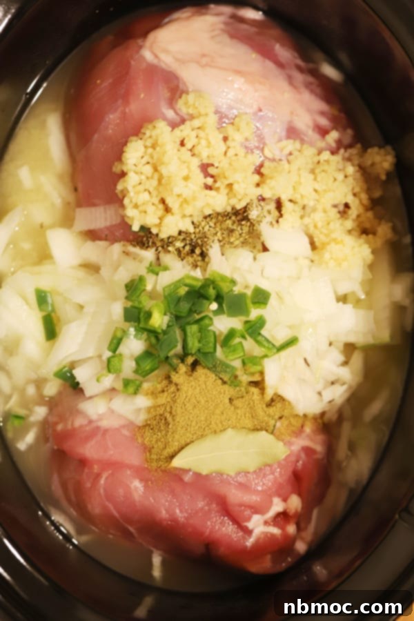 Raw ingredients for a slow cooker pork carnitas recipe laid out, including pork shoulder, oranges, onions, garlic, and spices.