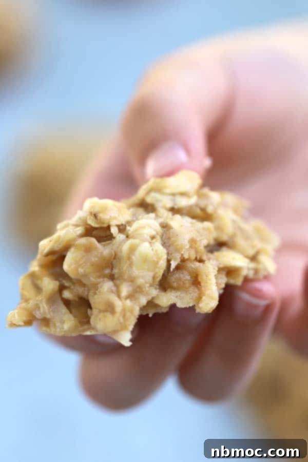 A perfectly portioned No-Bake Peanut Butter Cookie held in a hand, showcasing its creamy texture and oat bits.