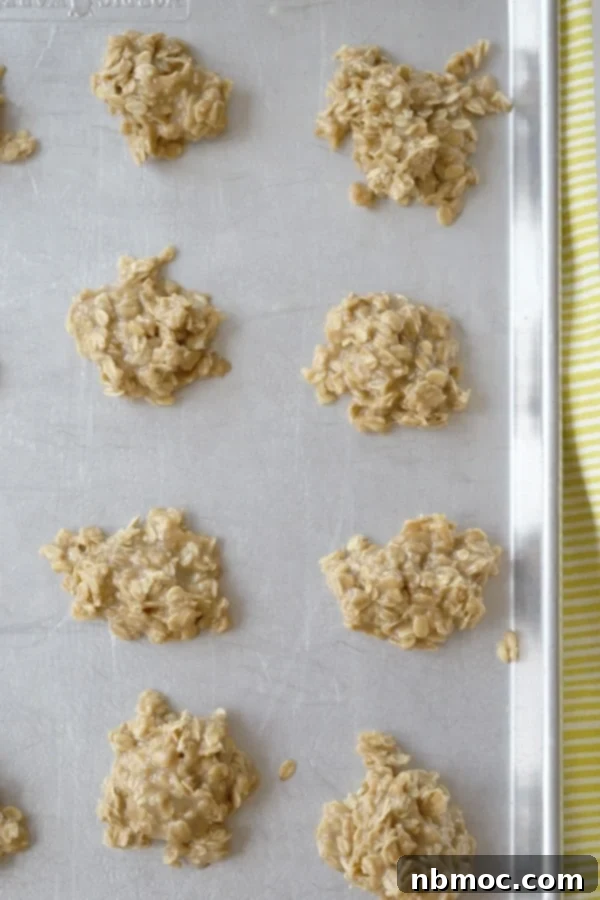 A sheet tray showcasing a full batch of irresistible No-Bake Peanut Butter Marshmallow Cookies, perfectly set and ready to enjoy.