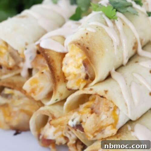 Golden Crisp BBQ Chicken Taquitos 6 Delicious oven-baked BBQ chicken and cheese taquitos on a platter.