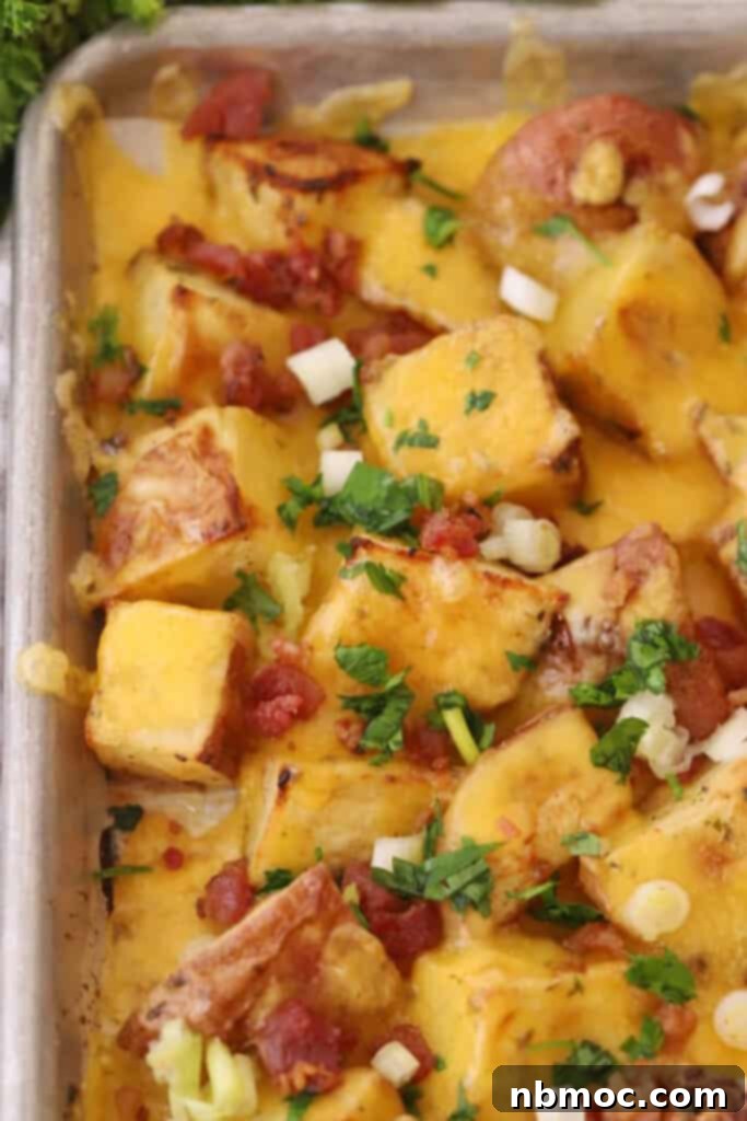 Decadent Garlic Herb Cheesy Potatoes 2 A sheet tray full of cheesy roasted potatoes, garnished with green onions.