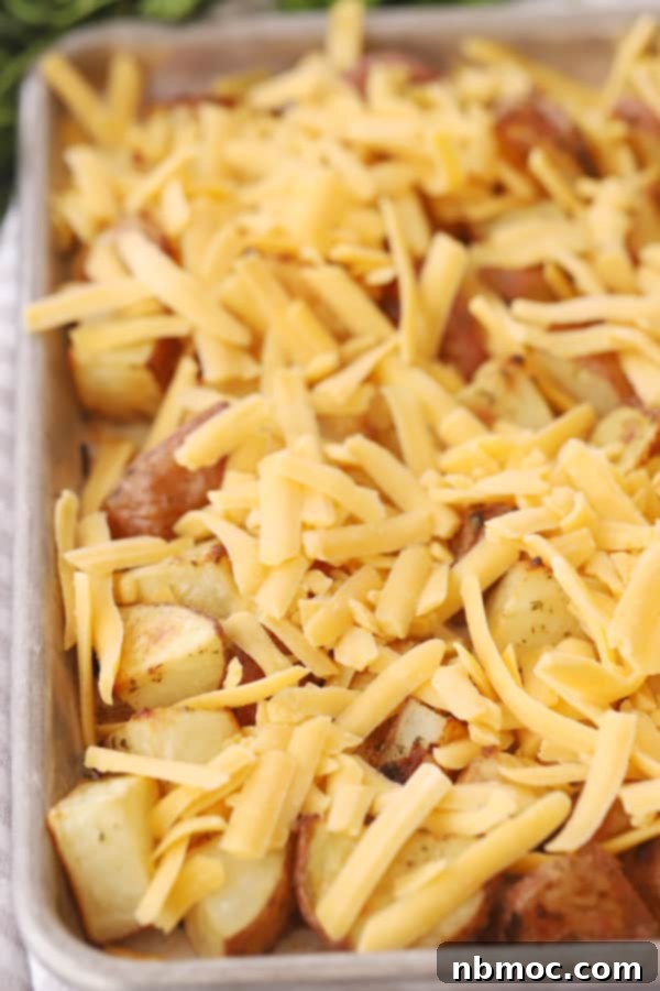 Decadent Garlic Herb Cheesy Potatoes 5 Shredded cheese on top of cheesy roasted potatoes, freshly out of the oven.