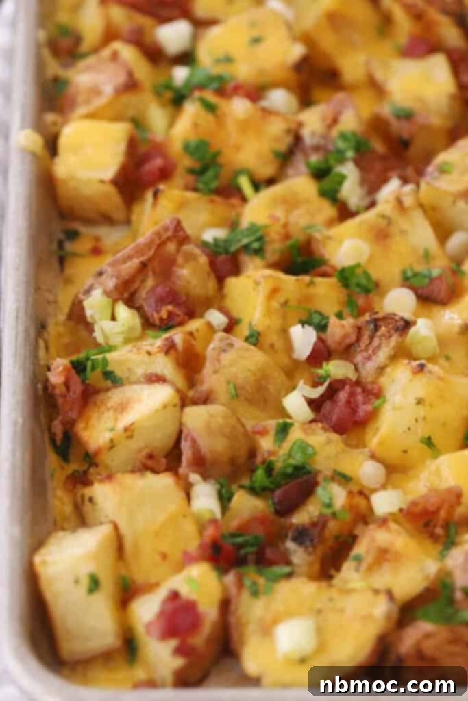 Decadent Garlic Herb Cheesy Potatoes 6 garlic and herb roasted potatoes with cheese on top, garnished with fresh herbs.