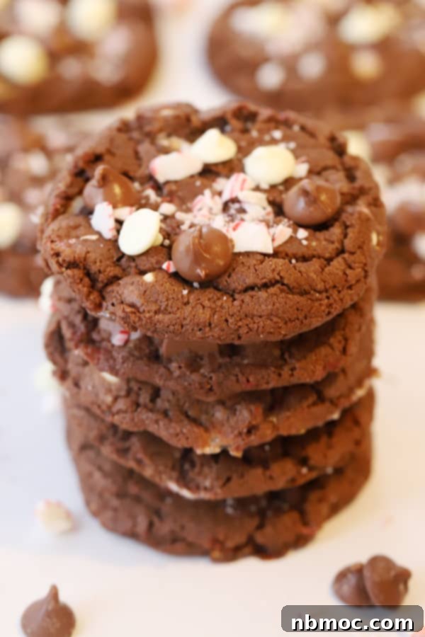Festive Chocolate Peppermint Crunch Cookies 2 Irresistible Chocolate Candy Cane Cookies, an easy recipe for chocolate peppermint cookies perfect for Christmas gatherings.